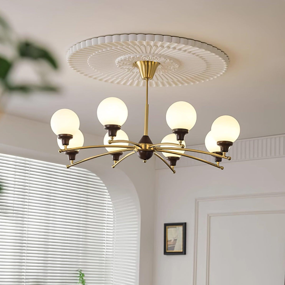 Calivora Lustre