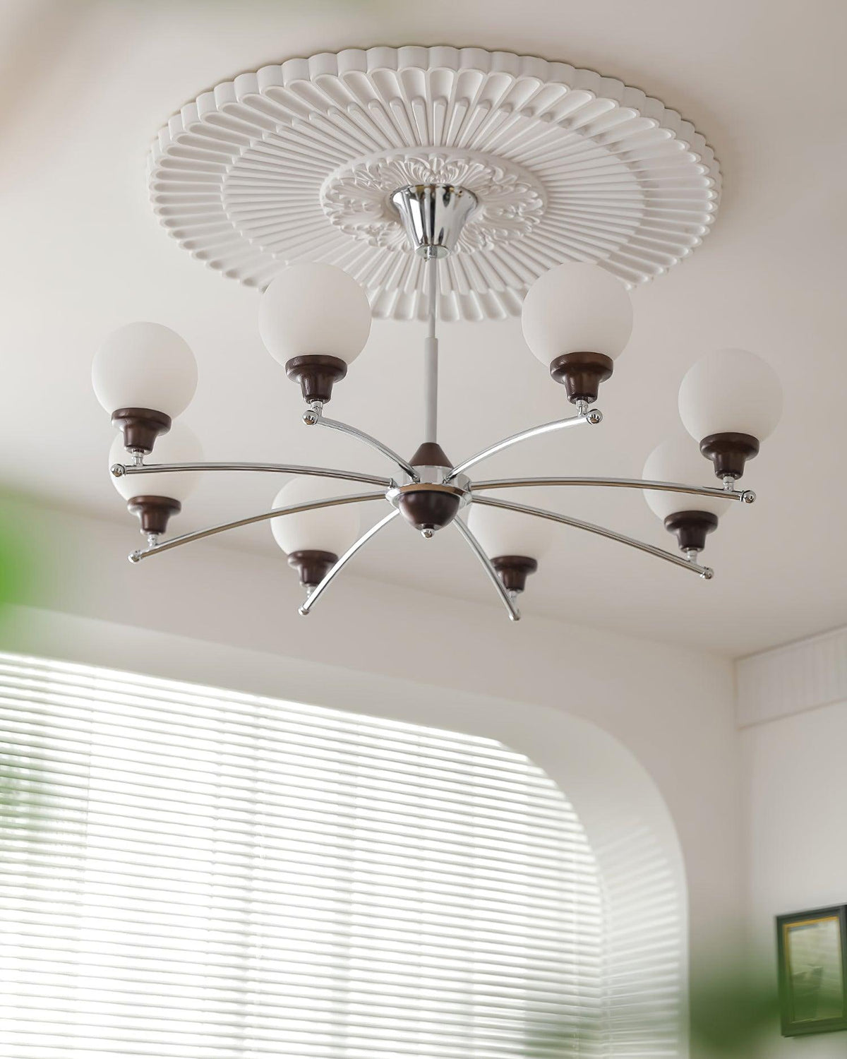 Calivora Lustre