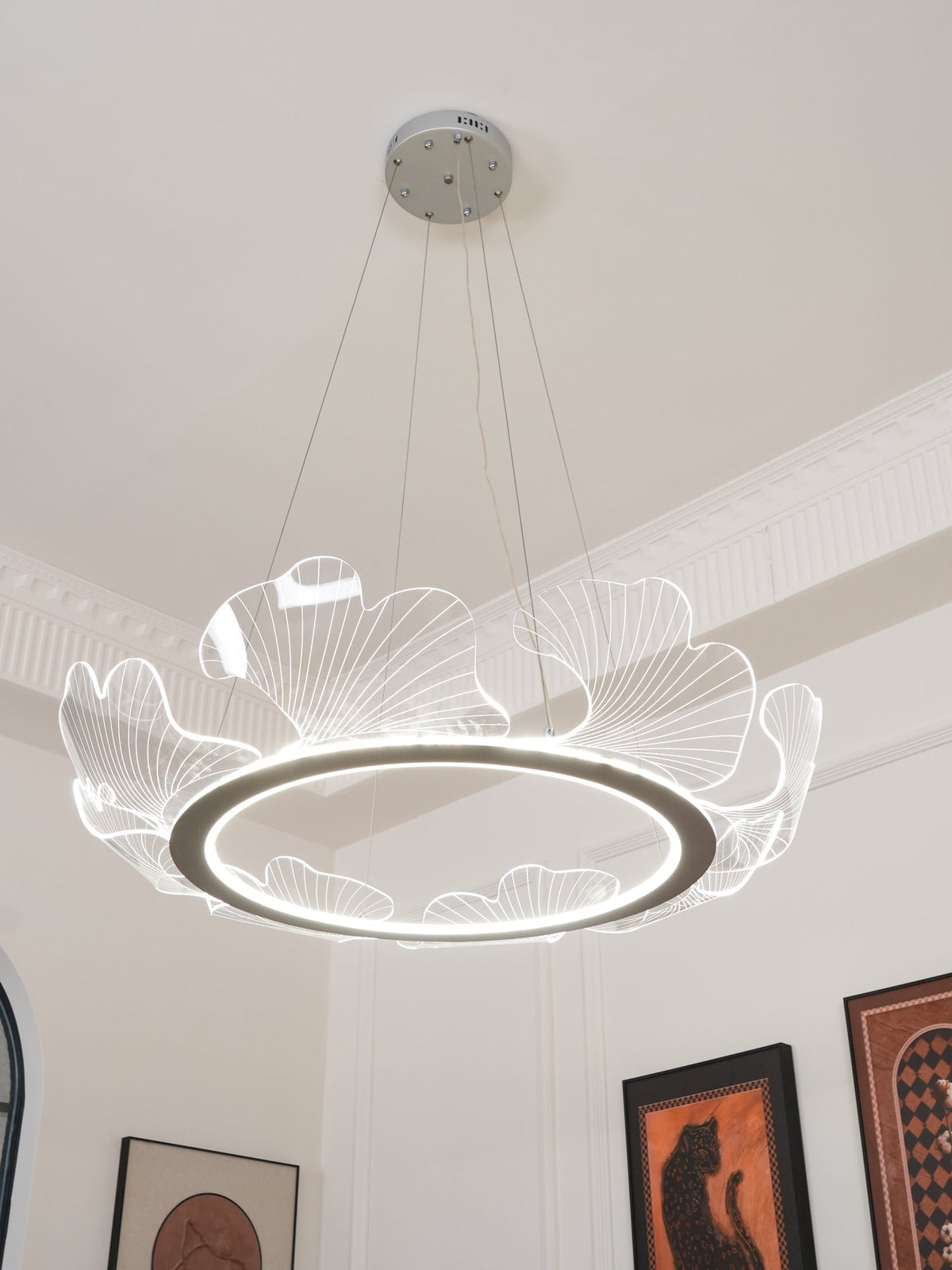 Darenessa Suspension en Acrylique Givré Anneau Floral