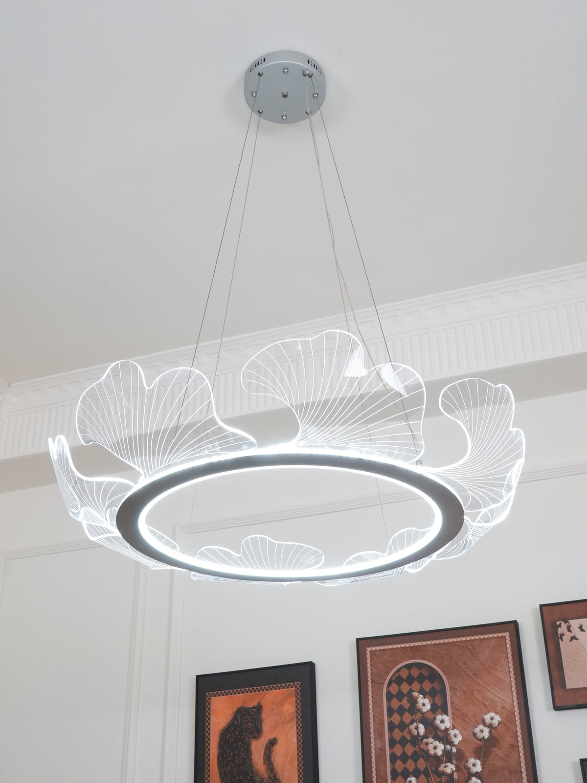 Darenessa Suspension en Acrylique Givré Anneau Floral