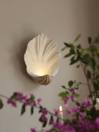Shell Wall Sconce-Neutral Decor