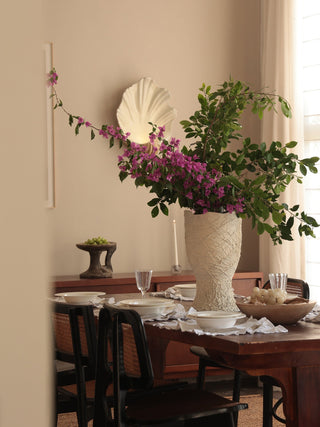 Shell Wall Sconce-Neutral Decor