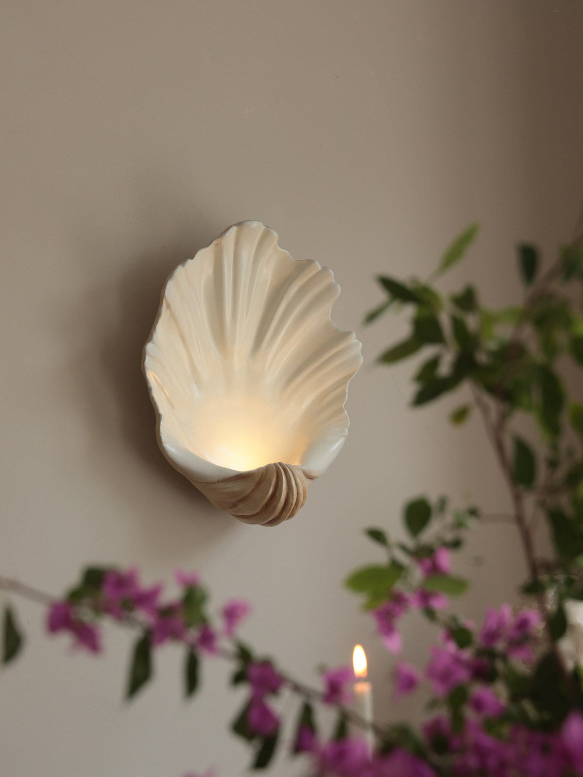 Shell Wall Sconce-Neutral Decor