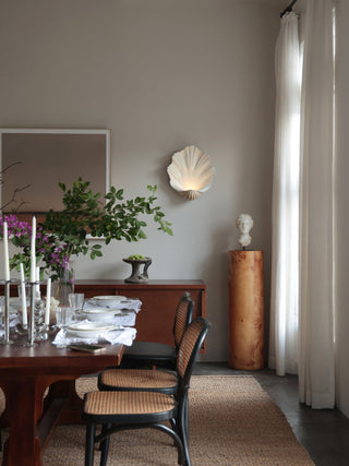 Shell Wall Sconce-Neutral Decor