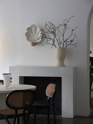 Shell Wall Sconce-Neutral Decor