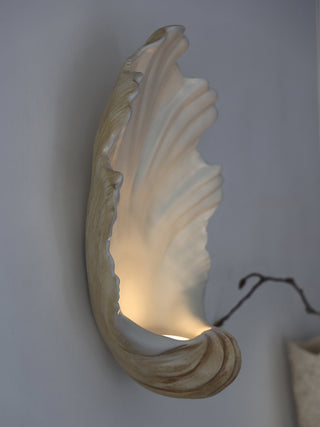 Shell Wall Sconce-Neutral Decor