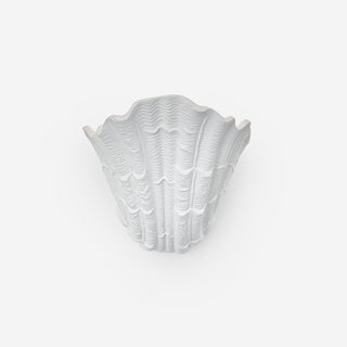 Applique Murale Coquille Plâtre Coquillage Forme Artistique-Luire