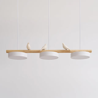 Cliff Suspension Oiseau