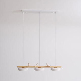 Cliff Suspension Oiseau