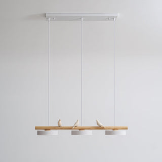 Cliff Suspension Oiseau