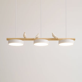 Cliff Suspension Oiseau