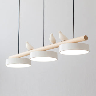 Cliff Suspension Oiseau