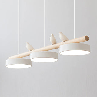 Cliff Suspension Oiseau