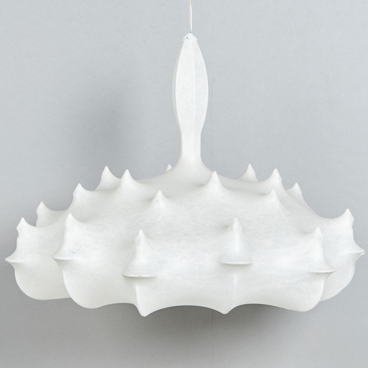 Noralette Suspension