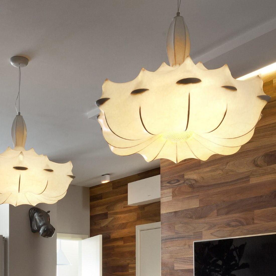 Noralette Suspension