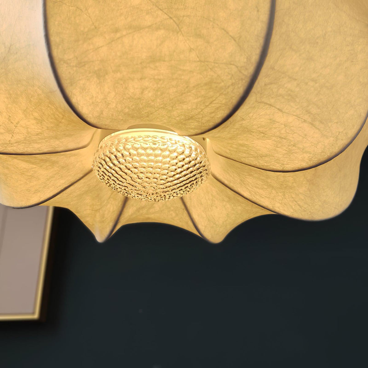 Noralette Suspension