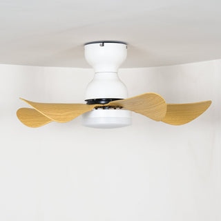 Ventilateur de Plafond Callen en Bois avec Lumière