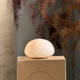 Terioia Lampe de Table