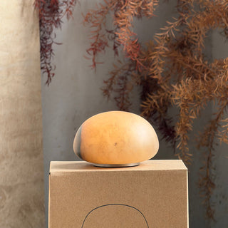 Terioia Lampe de Table