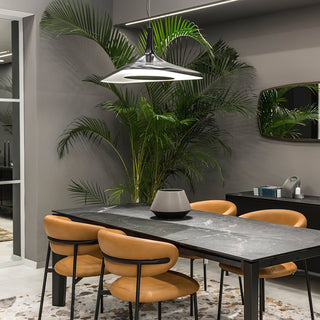 Soleil Noir Pendant Lamp-Neutral Decor