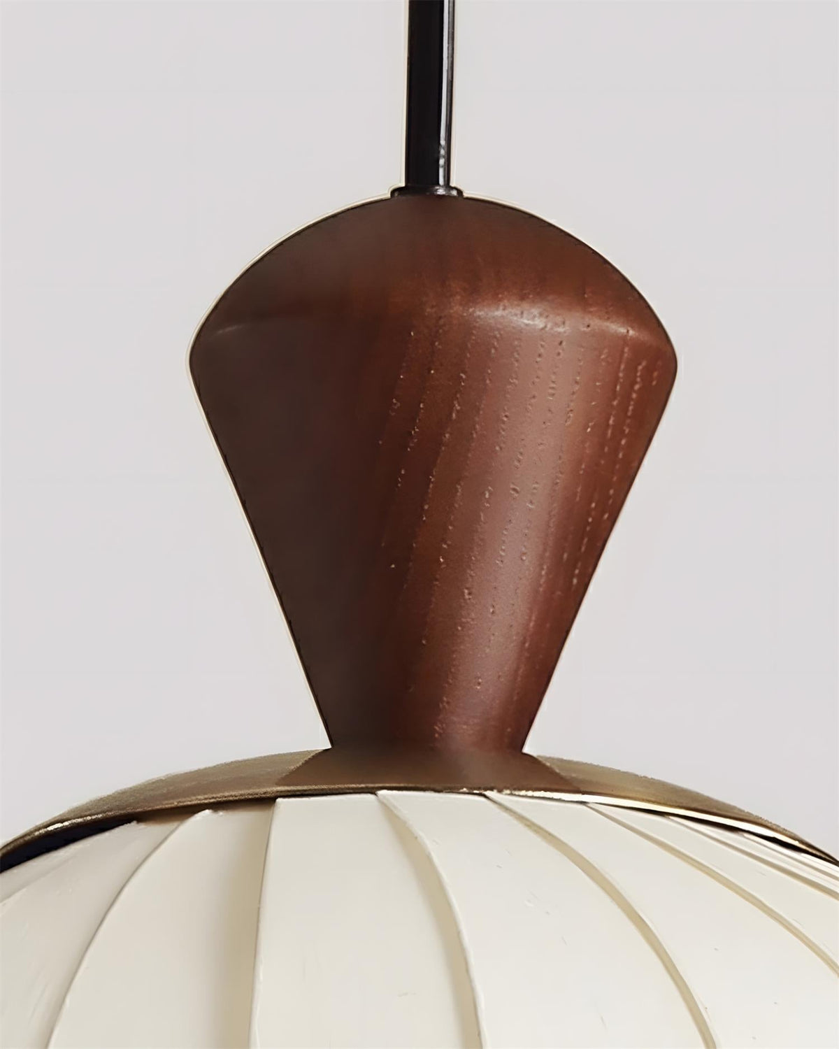 Orelaliella Suspension