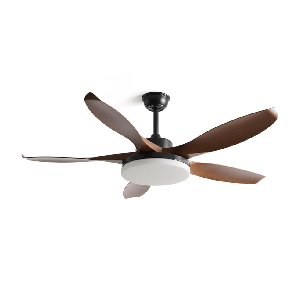 Splenda Ceiling Fan Light in a modern living room setting.