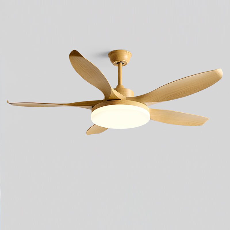 Liororeria Ventilateur de Plafond avec Éclairage