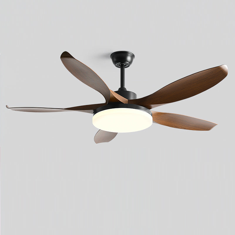 Splenda Ceiling Fan Light in action, with blades in motion.