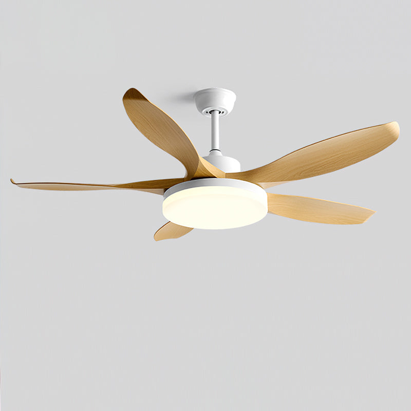 Liororeria Ventilateur de Plafond avec Éclairage