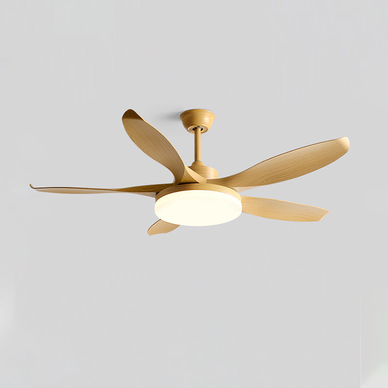 Liororeria Ventilateur de Plafond avec Éclairage