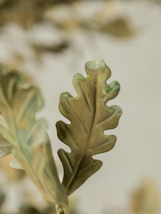 Floréthys Spring Oak Tree Lustre