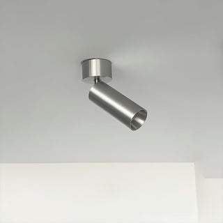 Riveia Plafonnier Spotlight en Aluminium