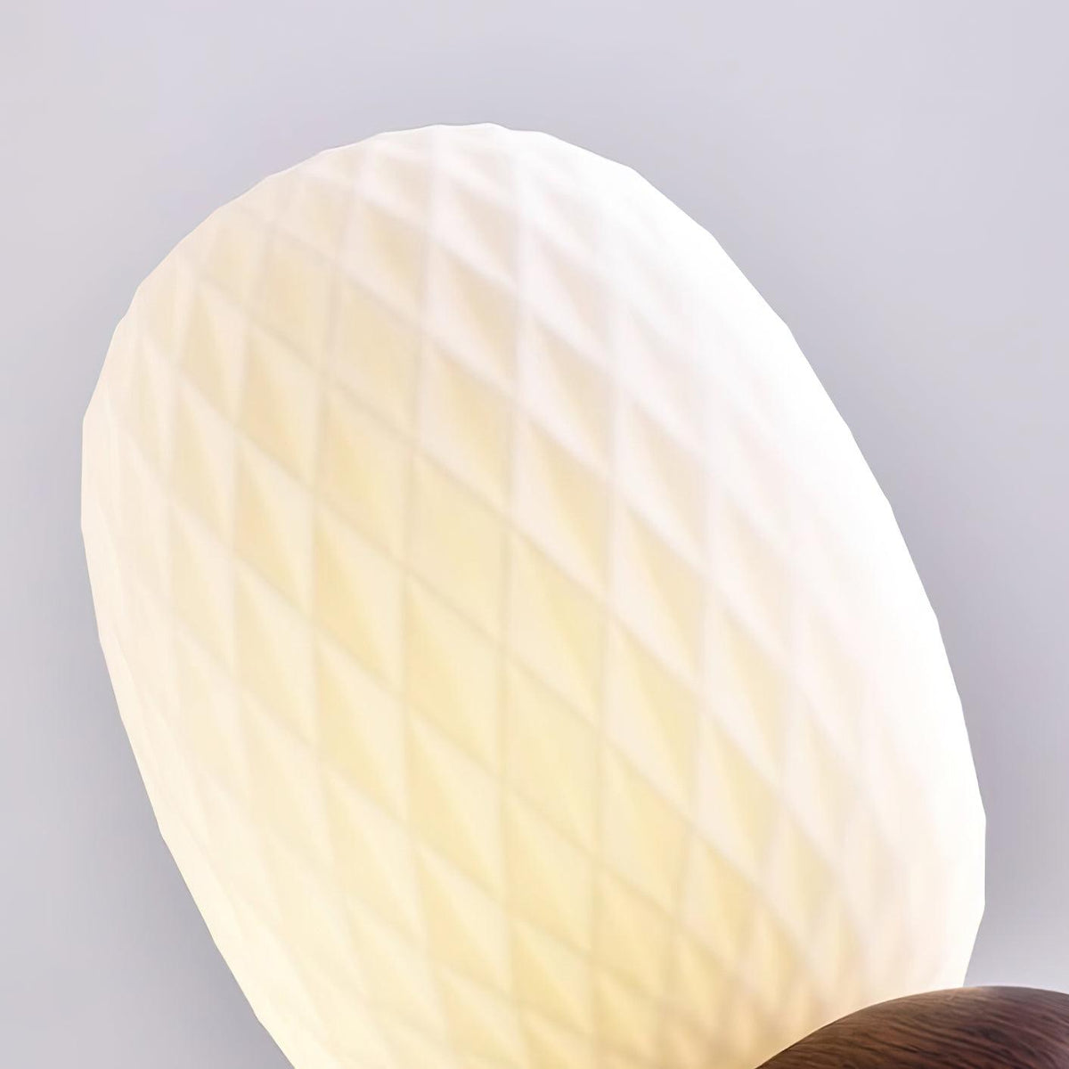 Zanda Lustre