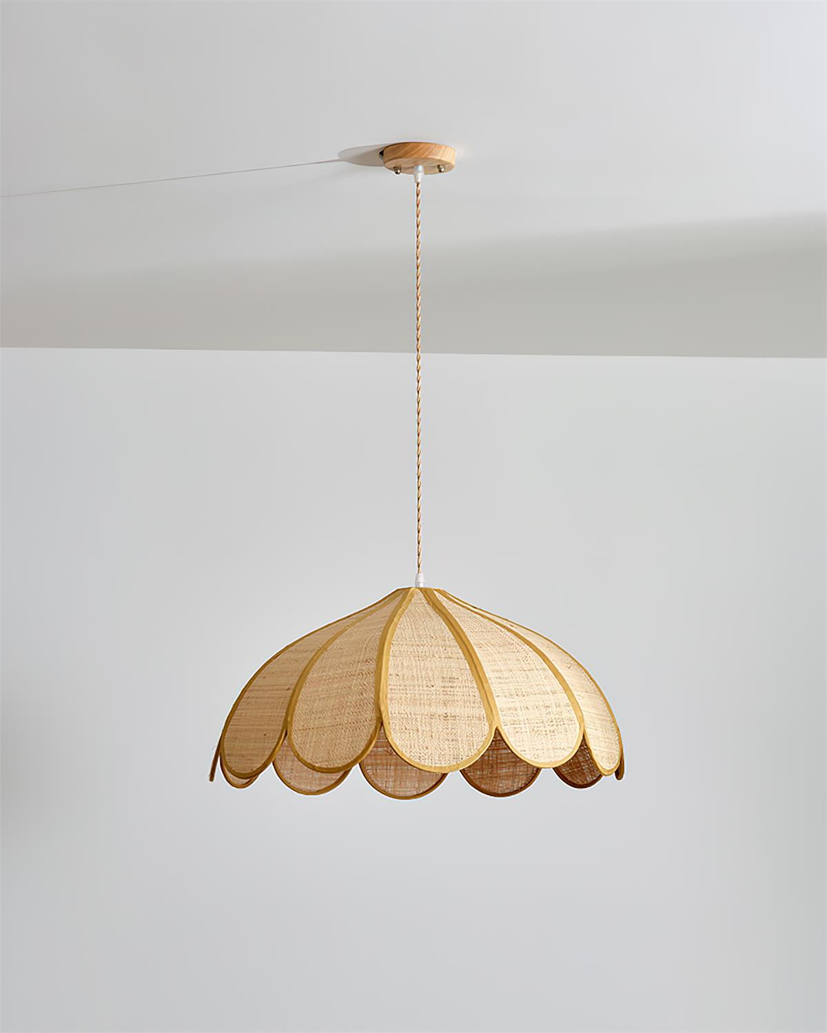 Elaisora Suspension