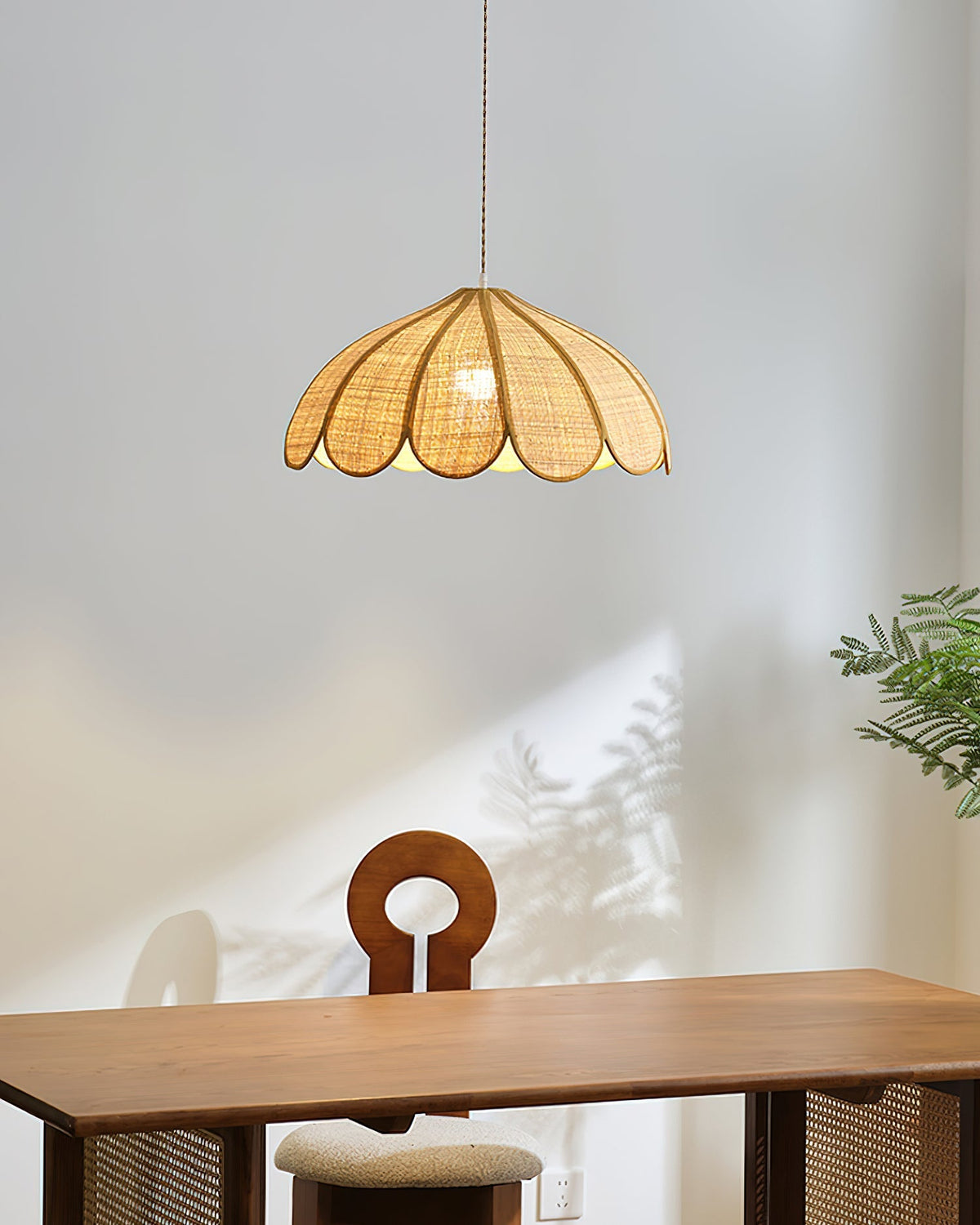 Elaisora Suspension