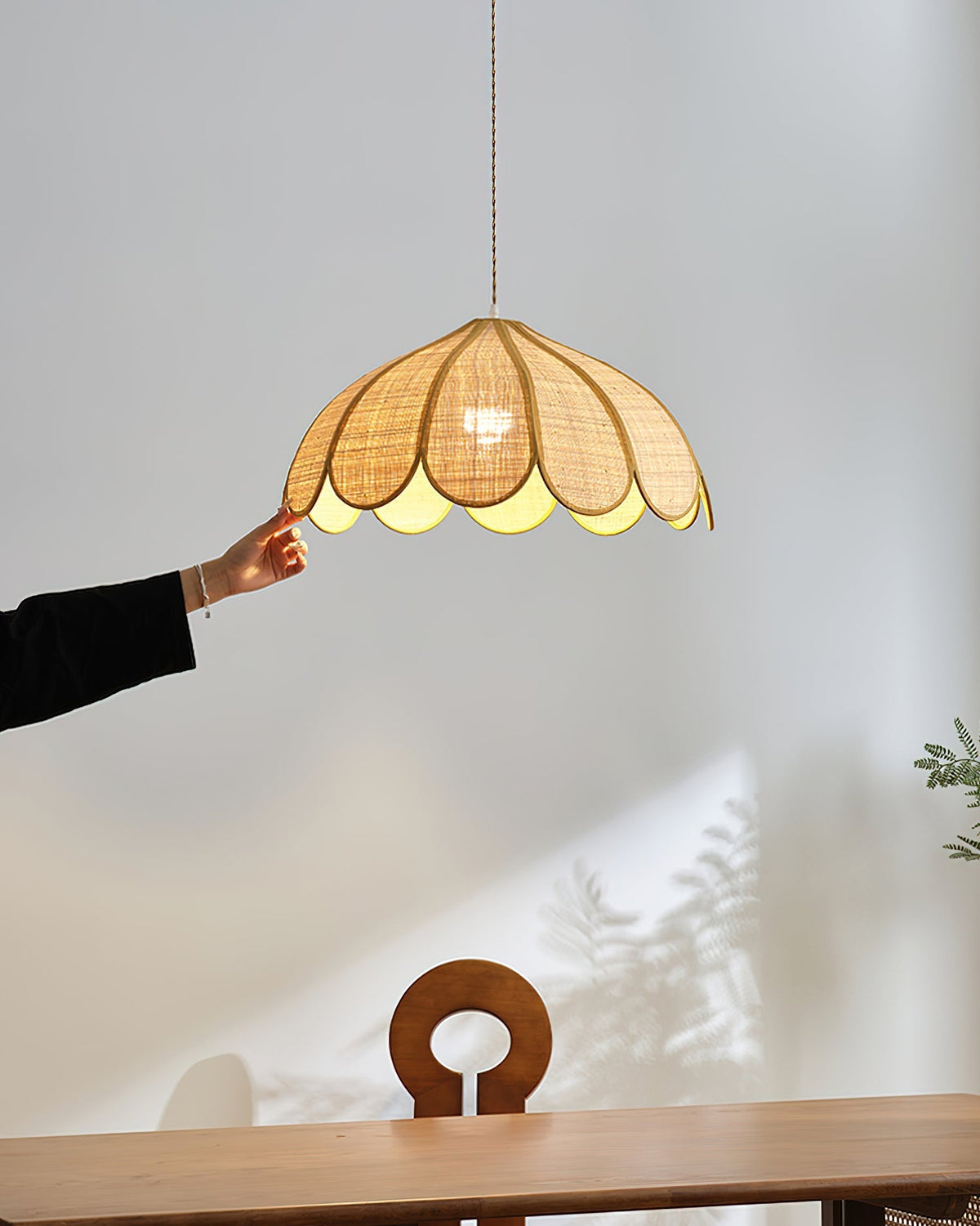 Elaisora Suspension
