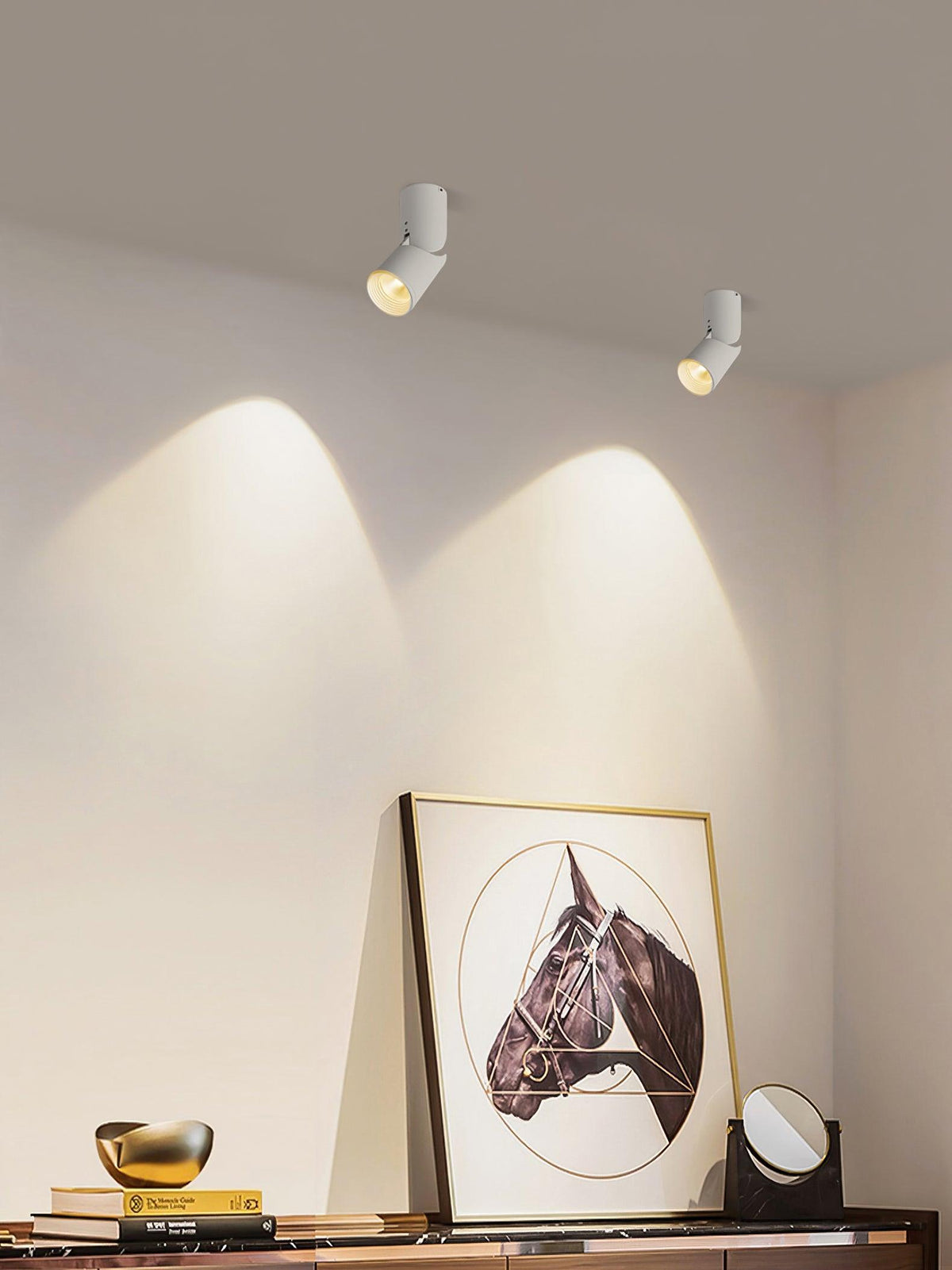 Alva Plafonnier LED Projecteurs Sunny Ajustables
