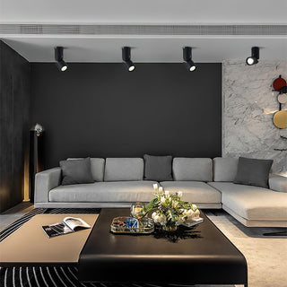 Lustra Plafonnier LED Projecteurs Sunny Ajustables