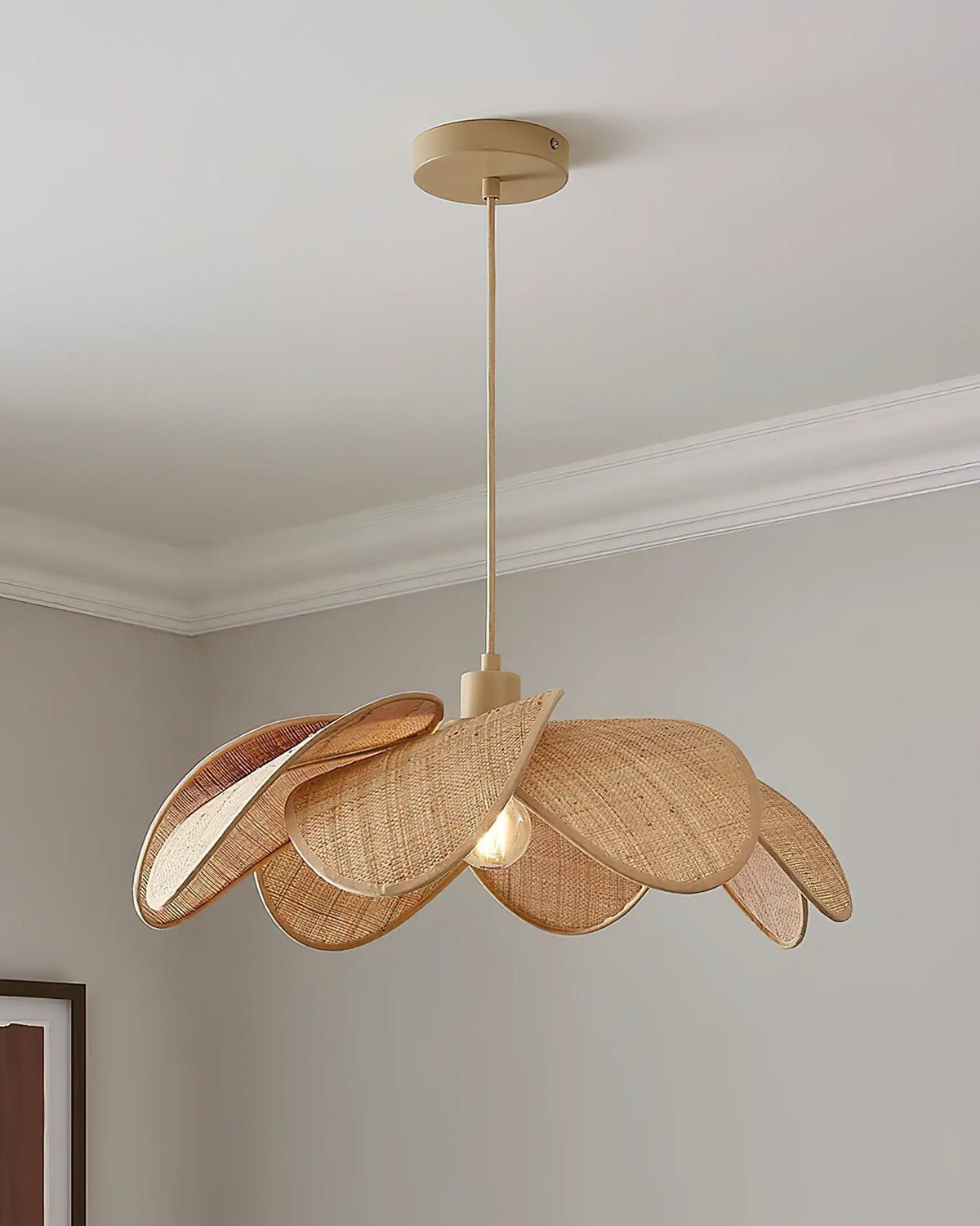 Soroise Suspension