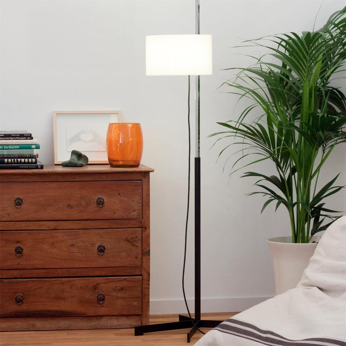 Reniselia Lampadaire
