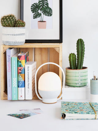 Orb Modern Glass Table Lamp-Neutral Decor