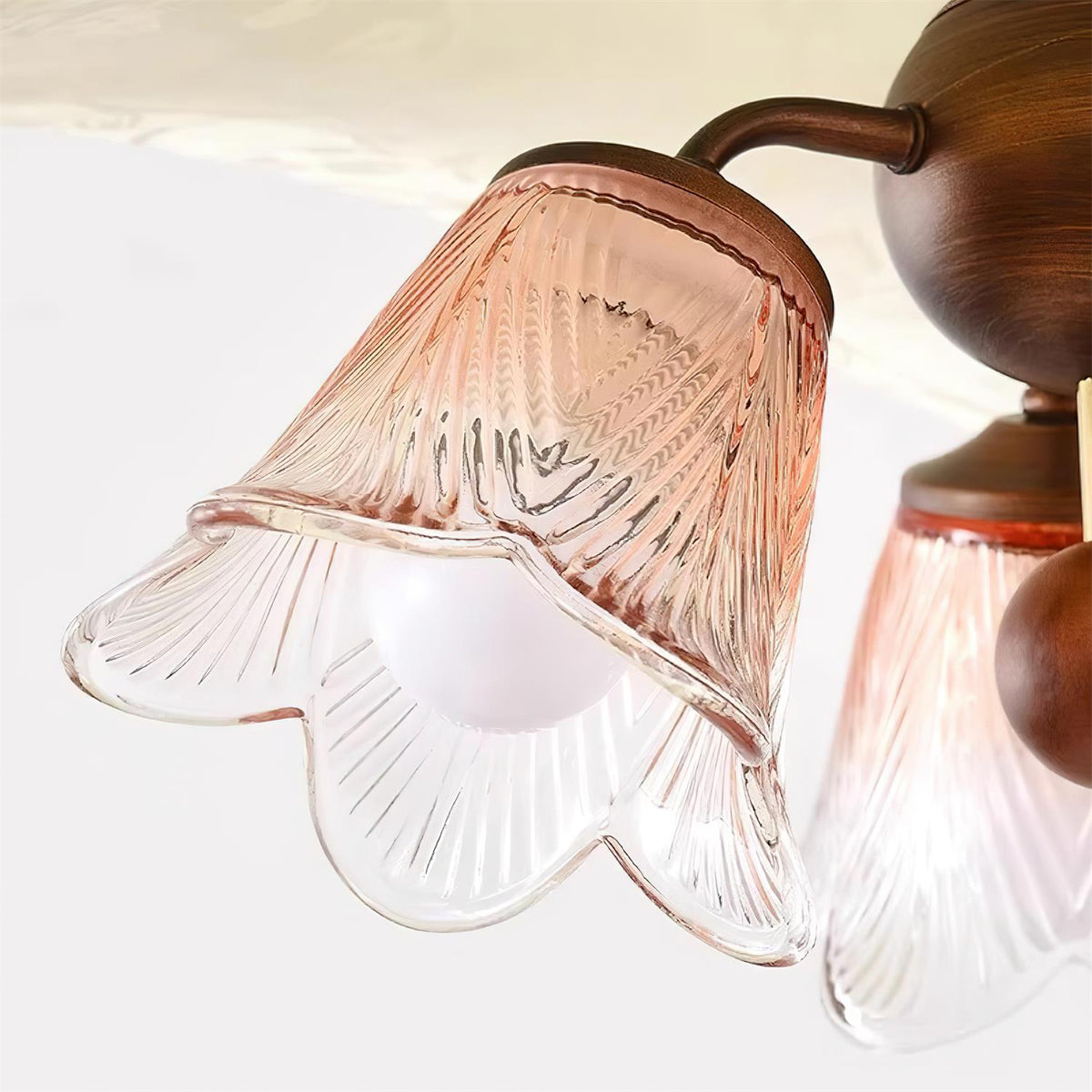 Marcellina Suspension