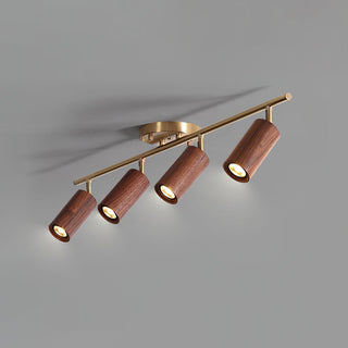 Liora Plafonnier sur Rail en Bois-Luire