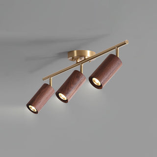 Liora Plafonnier sur Rail en Bois-Luire
