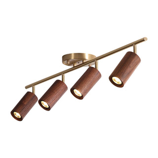Liora Plafonnier sur Rail en Bois-Luire