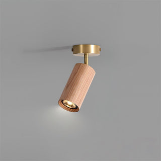 Liora Plafonnier sur Rail en Bois-Luire