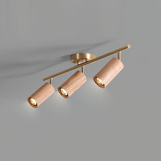 Liora Plafonnier sur Rail en Bois-Luire