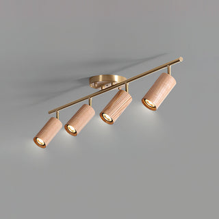 Liora Plafonnier sur Rail en Bois-Luire