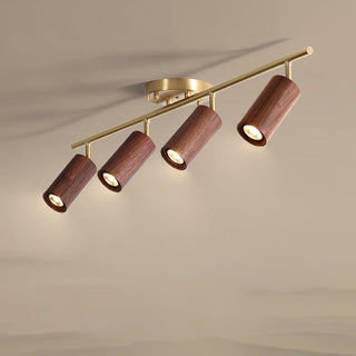 Liora Plafonnier sur Rail en Bois-Luire