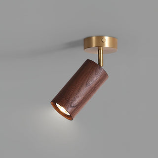 Liora Plafonnier sur Rail en Bois-Luire